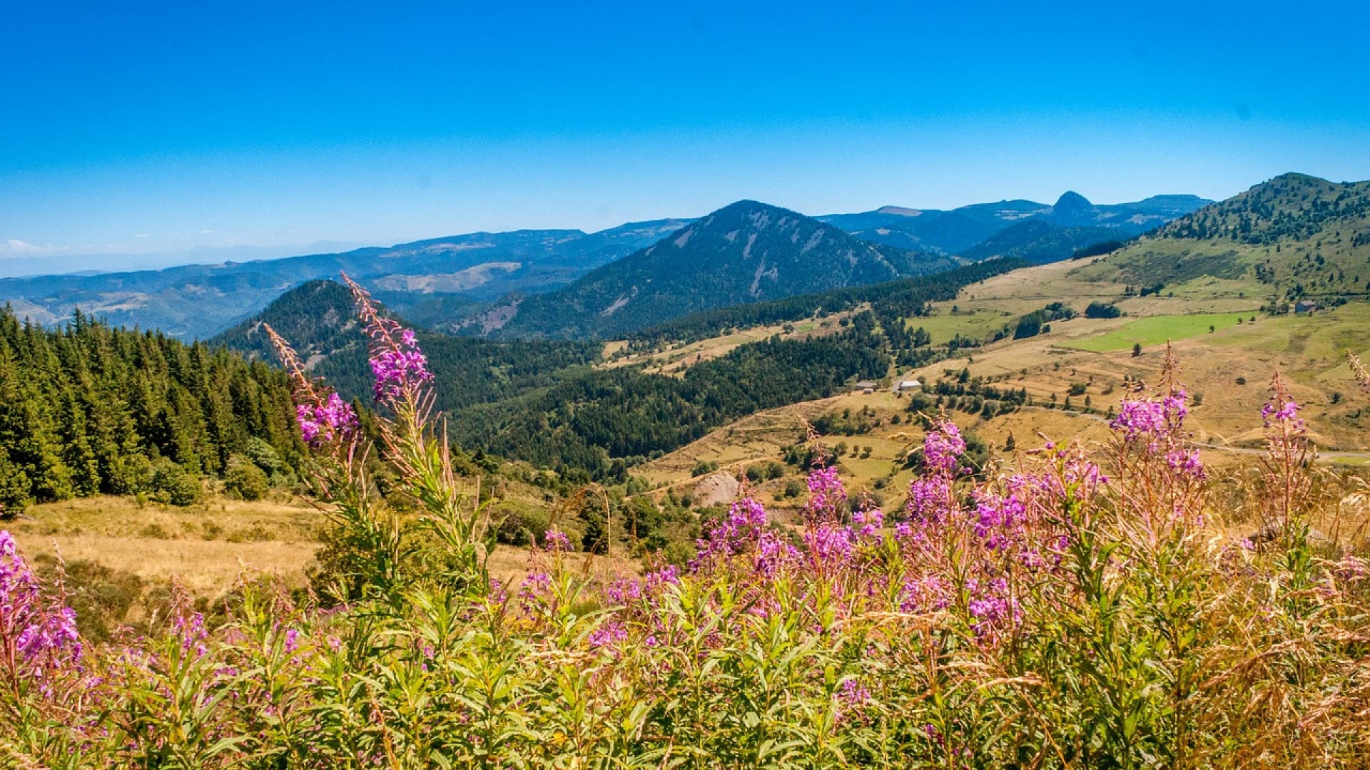 « Puy-de-Dôme, une retraite de couple inattendue »