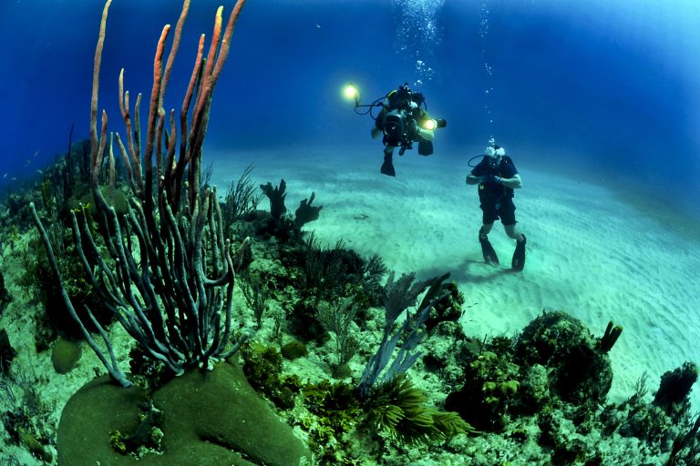 Plongée en apnée : comment développer son endurance et sa confiance sous l’eau