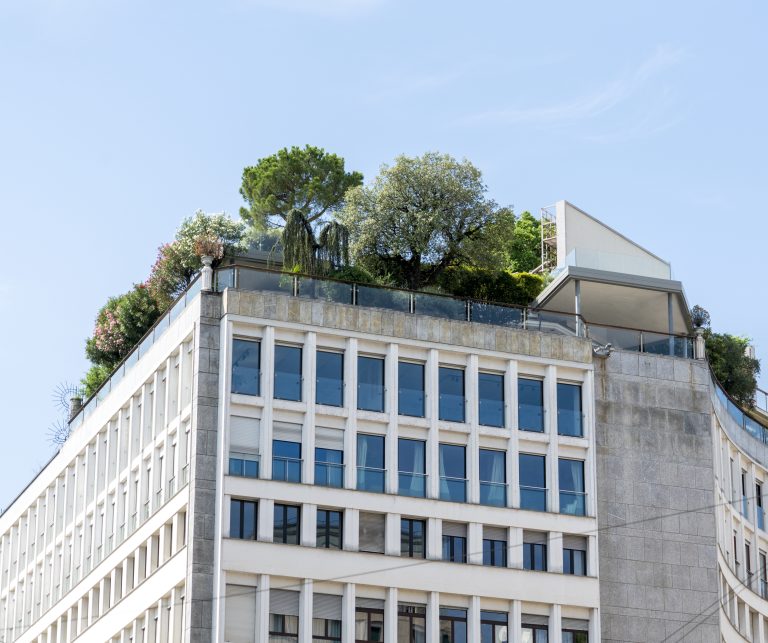 Comment aménager un jardin écologique et durable