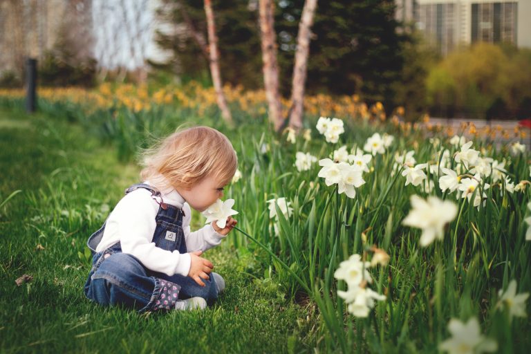 Comment intégrer un espace de jeu pour enfants dans votre jardin